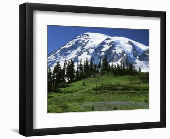 Mt. Rainier from Paradise, Mt. Rainier National Park, Washington, USA-Charles Gurche-Framed Photographic Print