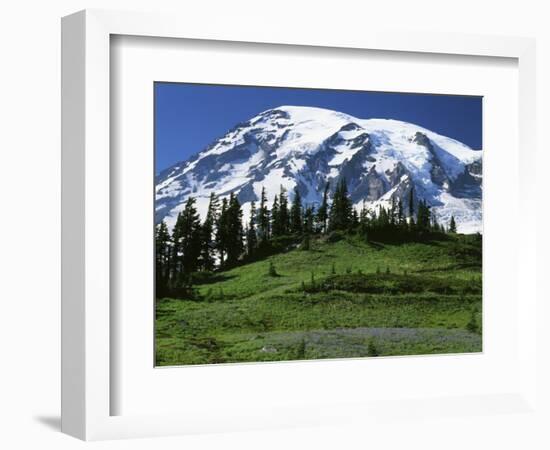 Mt. Rainier from Paradise, Mt. Rainier National Park, Washington, USA-Charles Gurche-Framed Photographic Print