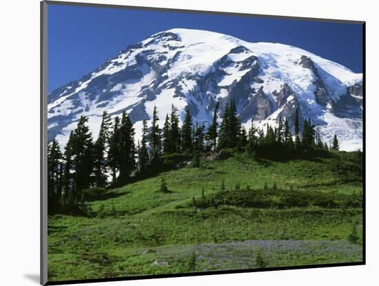 Mt. Rainier from Paradise, Mt. Rainier National Park, Washington, USA-Charles Gurche-Mounted Photographic Print