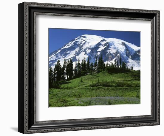 Mt. Rainier from Paradise, Mt. Rainier National Park, Washington, USA-Charles Gurche-Framed Photographic Print