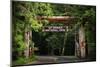 Mt Rainier Gateway-Steve Gadomski-Mounted Photographic Print