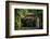 Mt Rainier Gateway-Steve Gadomski-Framed Photographic Print