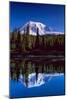 Mt. Rainier III-Ike Leahy-Mounted Photographic Print