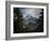 Mt Rainier In The Morning Light As Seen From The Pacific Crest Trail-Ron Koeberer-Framed Photographic Print