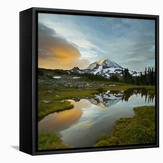 Mt. Rainier Is Reflected in a Small Tarn in Spray Park, Mt. Rainier National Park, Washington, USA-Gary Luhm-Framed Premier Image Canvas