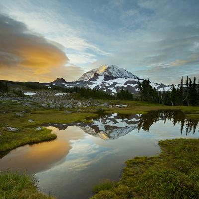 'Mt. Rainier Is Reflected in a Small Tarn in Spray Park, Mt. Rainier