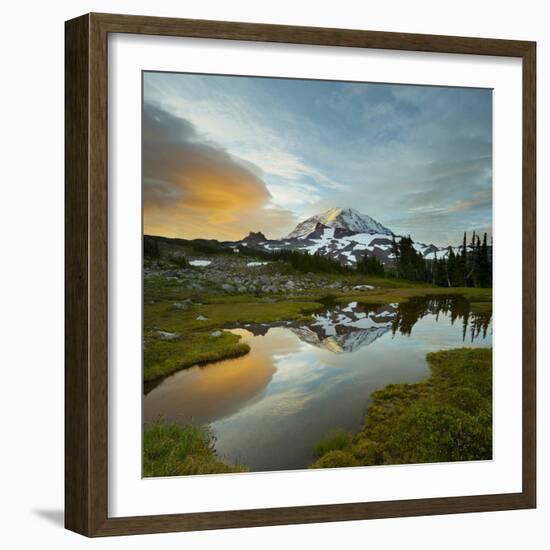 Mt. Rainier Is Reflected in a Small Tarn in Spray Park, Mt. Rainier National Park, Washington, USA-Gary Luhm-Framed Photographic Print