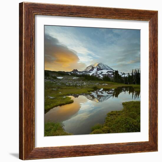 Mt. Rainier Is Reflected in a Small Tarn in Spray Park, Mt. Rainier National Park, Washington, USA-Gary Luhm-Framed Photographic Print