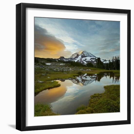 Mt. Rainier Is Reflected in a Small Tarn in Spray Park, Mt. Rainier National Park, Washington, USA-Gary Luhm-Framed Photographic Print