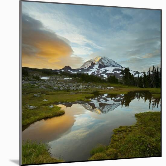 Mt. Rainier Is Reflected in a Small Tarn in Spray Park, Mt. Rainier National Park, Washington, USA-Gary Luhm-Mounted Photographic Print