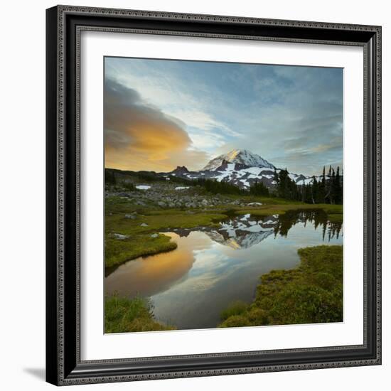 Mt. Rainier Is Reflected in a Small Tarn in Spray Park, Mt. Rainier National Park, Washington, USA-Gary Luhm-Framed Photographic Print