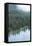 Mt. Rainier National Park, WA-Justin Bailie-Framed Premier Image Canvas