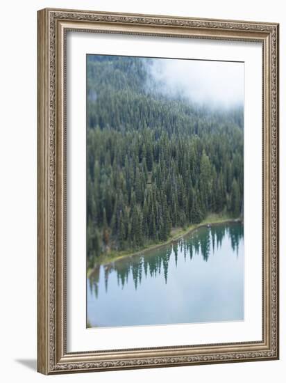 Mt. Rainier National Park, WA-Justin Bailie-Framed Photographic Print