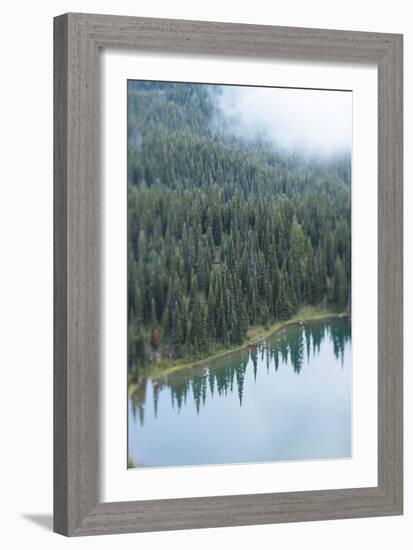 Mt. Rainier National Park, WA-Justin Bailie-Framed Photographic Print