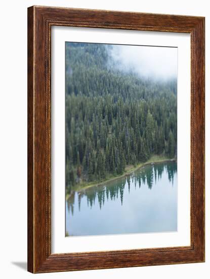 Mt. Rainier National Park, WA-Justin Bailie-Framed Photographic Print