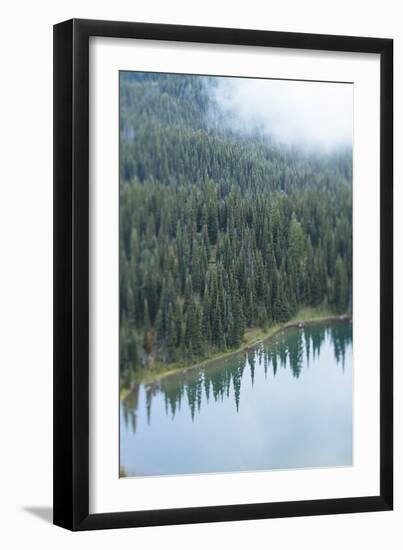 Mt. Rainier National Park, WA-Justin Bailie-Framed Photographic Print