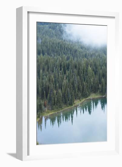 Mt. Rainier National Park, WA-Justin Bailie-Framed Photographic Print