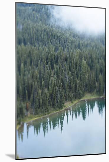 Mt. Rainier National Park, WA-Justin Bailie-Mounted Photographic Print