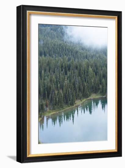 Mt. Rainier National Park, WA-Justin Bailie-Framed Photographic Print