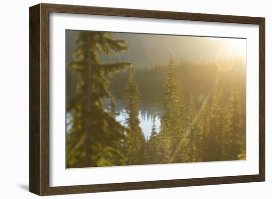 Mt. Rainier National Park, WA-Justin Bailie-Framed Photographic Print