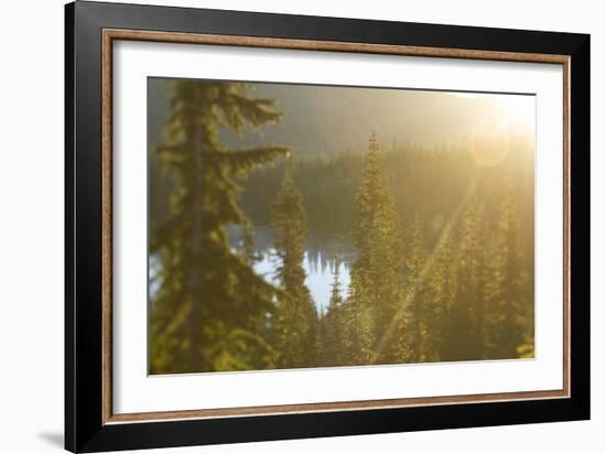 Mt. Rainier National Park, WA-Justin Bailie-Framed Photographic Print