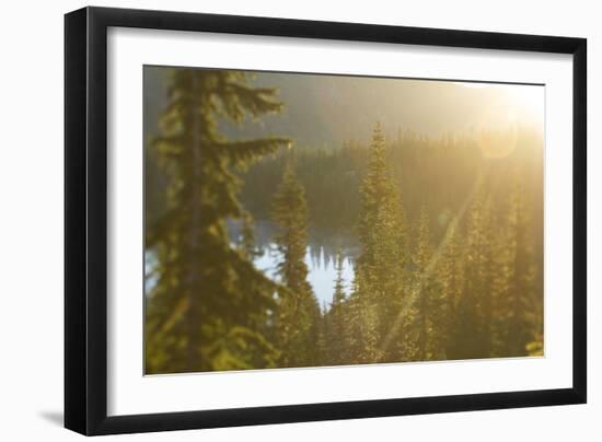 Mt. Rainier National Park, WA-Justin Bailie-Framed Photographic Print