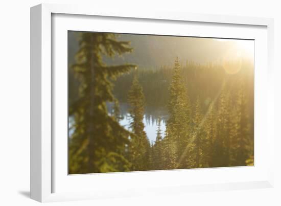 Mt. Rainier National Park, WA-Justin Bailie-Framed Photographic Print