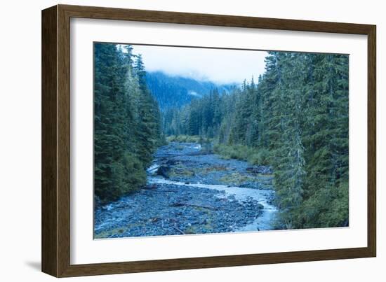 Mt. Rainier National Park, WA-Justin Bailie-Framed Photographic Print