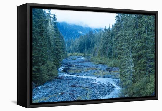 Mt. Rainier National Park, WA-Justin Bailie-Framed Premier Image Canvas