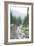 Mt. Rainier National Park, WA-Justin Bailie-Framed Photographic Print