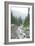 Mt. Rainier National Park, WA-Justin Bailie-Framed Photographic Print