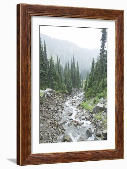 Mt. Rainier National Park, WA-Justin Bailie-Framed Photographic Print