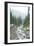 Mt. Rainier National Park, WA-Justin Bailie-Framed Photographic Print