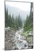 Mt. Rainier National Park, WA-Justin Bailie-Mounted Photographic Print