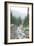 Mt. Rainier National Park, WA-Justin Bailie-Framed Photographic Print