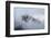 Mt Rainier National Park-Steve Gadomski-Framed Photographic Print