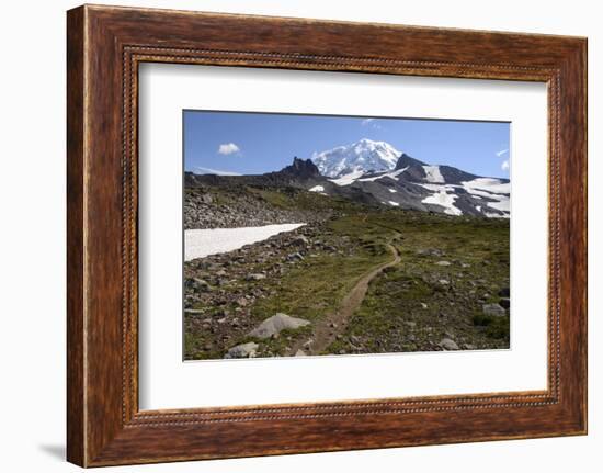 Mt. Rainier NP, Washington. View of Mt. Rainier on Spray Park Trail-Matt Freedman-Framed Photographic Print