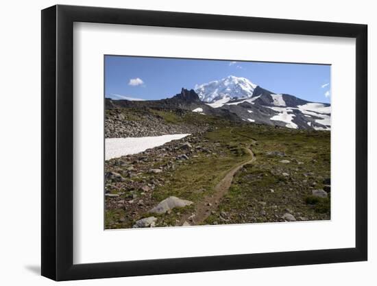 Mt. Rainier NP, Washington. View of Mt. Rainier on Spray Park Trail-Matt Freedman-Framed Photographic Print