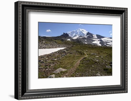 Mt. Rainier NP, Washington. View of Mt. Rainier on Spray Park Trail-Matt Freedman-Framed Photographic Print