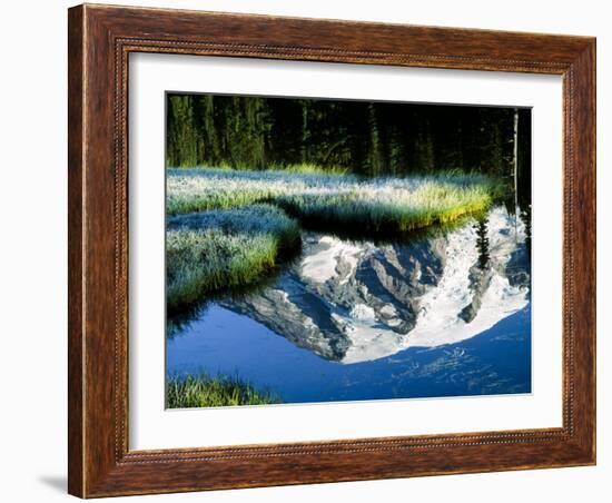 Mt. Rainier Reflected in Reflection Lake, Washington, USA-Charles Sleicher-Framed Photographic Print