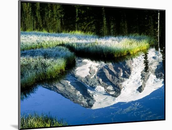 Mt. Rainier Reflected in Reflection Lake, Washington, USA-Charles Sleicher-Mounted Photographic Print
