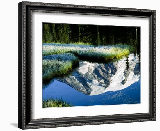 Mt. Rainier Reflected in Reflection Lake, Washington, USA-Charles Sleicher-Framed Photographic Print