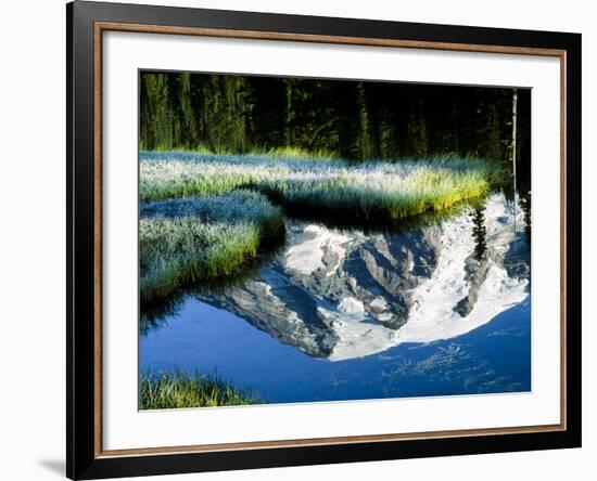 Mt. Rainier Reflected in Reflection Lake, Washington, USA-Charles Sleicher-Framed Photographic Print