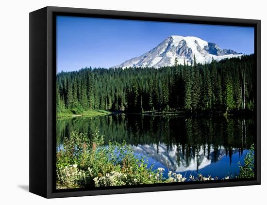 Mt. Rainier Reflected in Reflection Lake, Washington, USA-Charles Sleicher-Framed Premier Image Canvas
