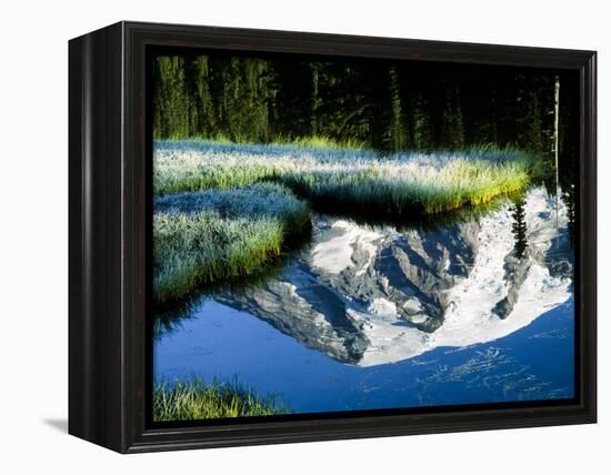 Mt. Rainier Reflected in Reflection Lake, Washington, USA-Charles Sleicher-Framed Premier Image Canvas