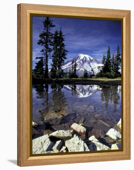 Mt. Rainier Reflected in Tarn, Mt. Rainier National Park, Washington, USA-Jamie & Judy Wild-Framed Premier Image Canvas