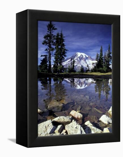 Mt. Rainier Reflected in Tarn, Mt. Rainier National Park, Washington, USA-Jamie & Judy Wild-Framed Premier Image Canvas