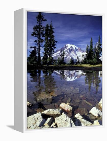 Mt. Rainier Reflected in Tarn, Mt. Rainier National Park, Washington, USA-Jamie & Judy Wild-Framed Premier Image Canvas