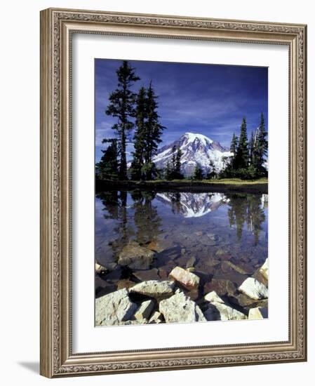 Mt. Rainier Reflected in Tarn, Mt. Rainier National Park, Washington, USA-Jamie & Judy Wild-Framed Photographic Print