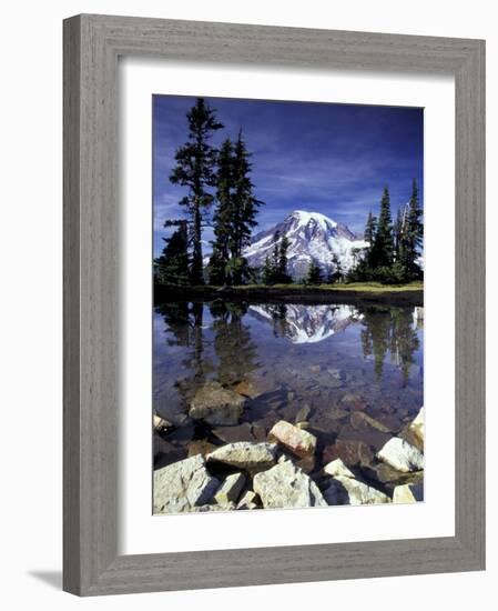 Mt. Rainier Reflected in Tarn, Mt. Rainier National Park, Washington, USA-Jamie & Judy Wild-Framed Photographic Print